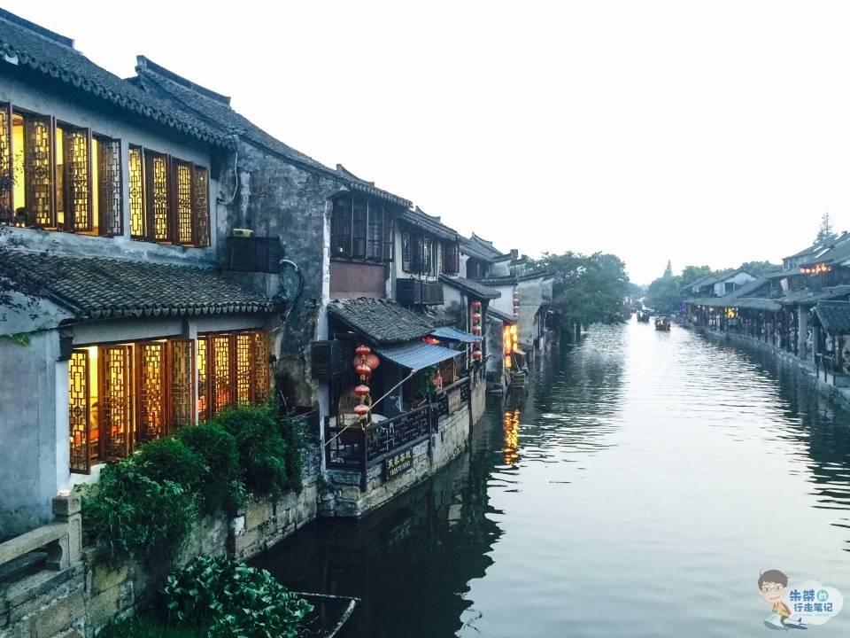 发财树上面的绿根断了怎么办?- 专业问答网站